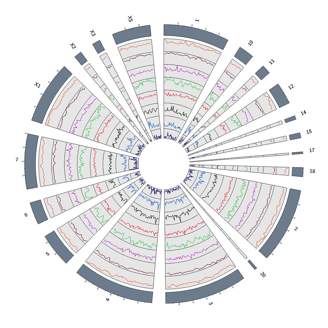 Circos, Circular Genome Map, Platypus