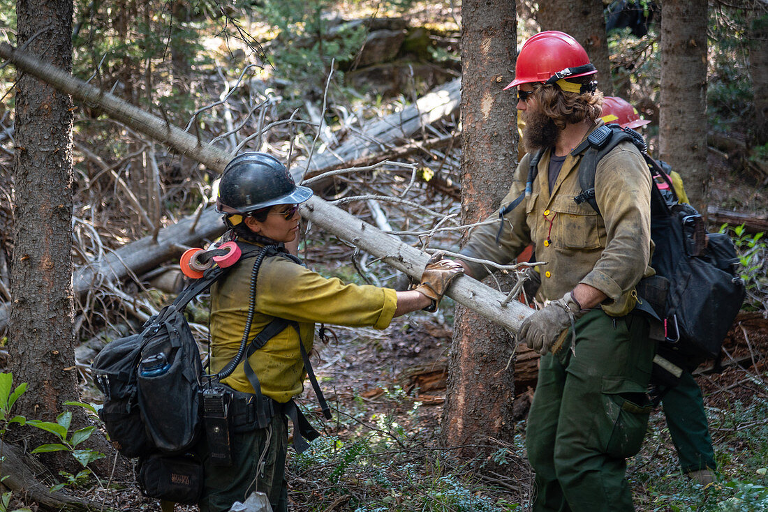 Firefighters, Silver Creek Wildfire 2018