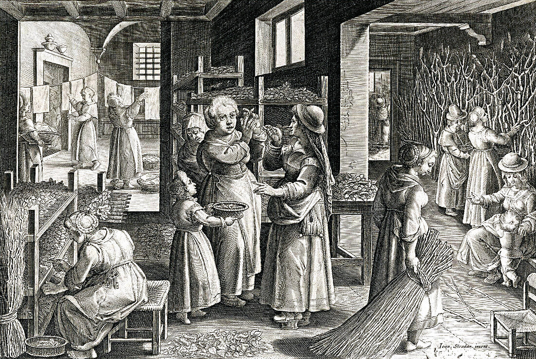 Cultivating Silkworms, Silk Making in Europe, 16th Century