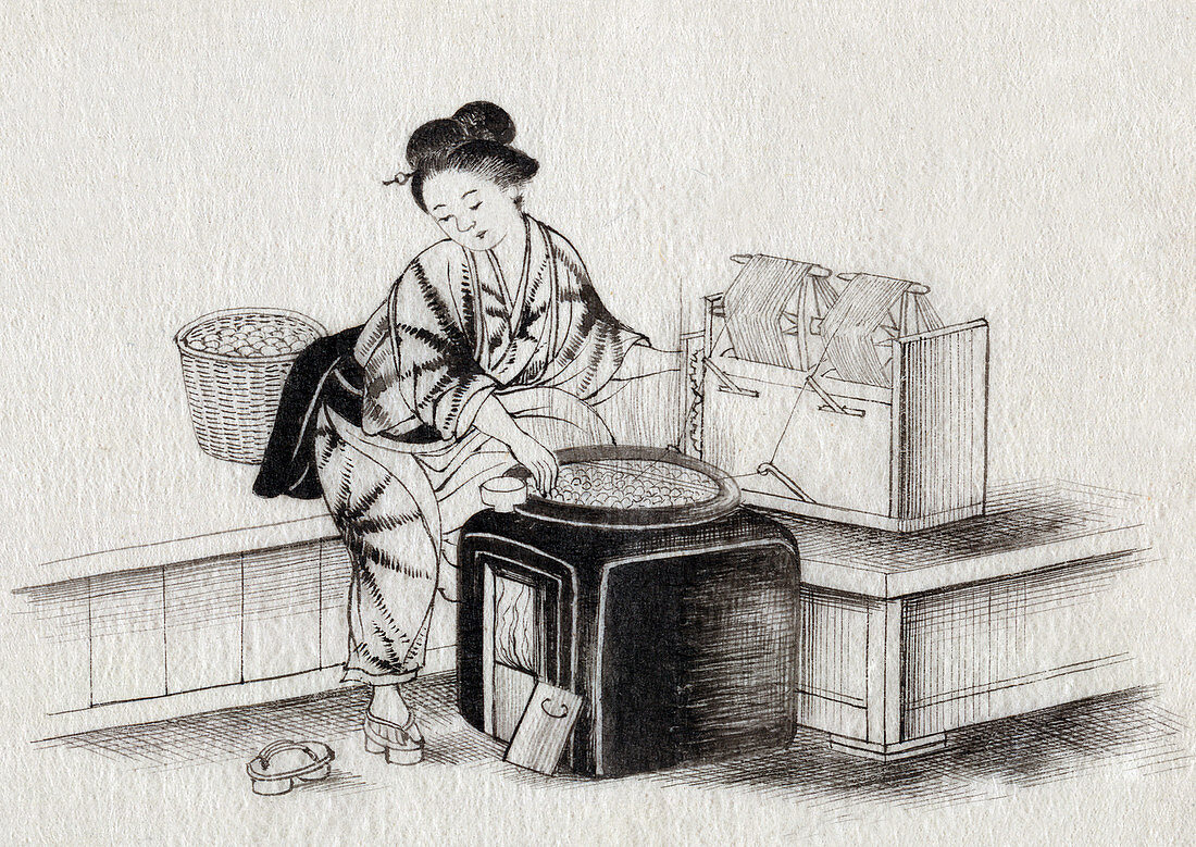 Spinning Silk, Silk Making in Japan, 1878