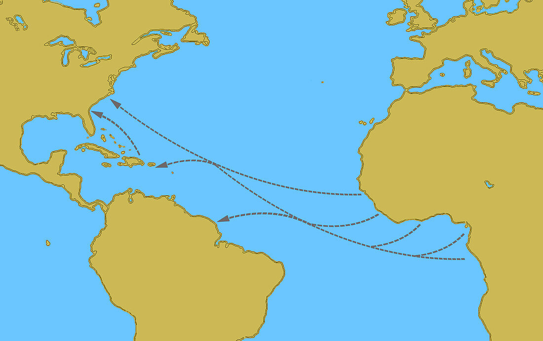 Transatlantic Slave Trade Routes, 16th-19th Centuries