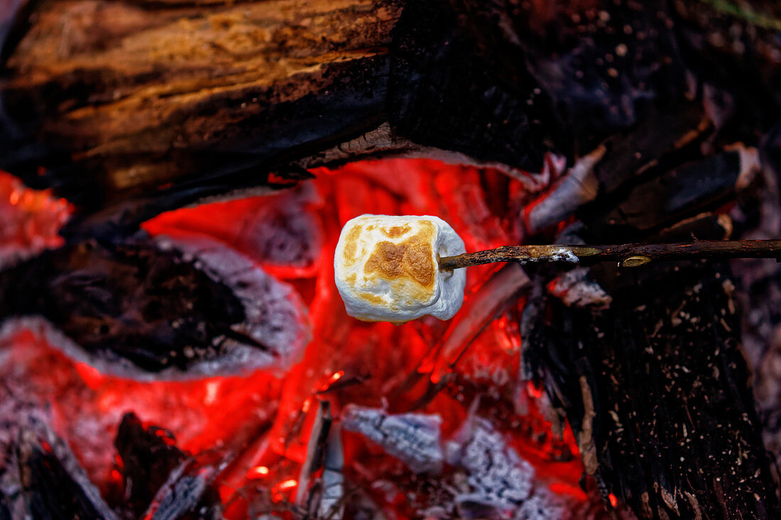 Roasting a marshmallow over a campfire