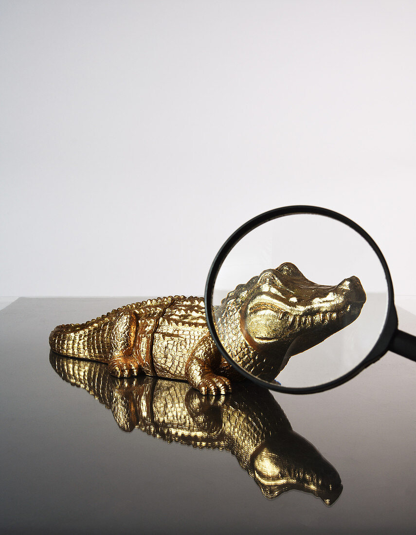 Magnifying Glass and Toy Crocodile