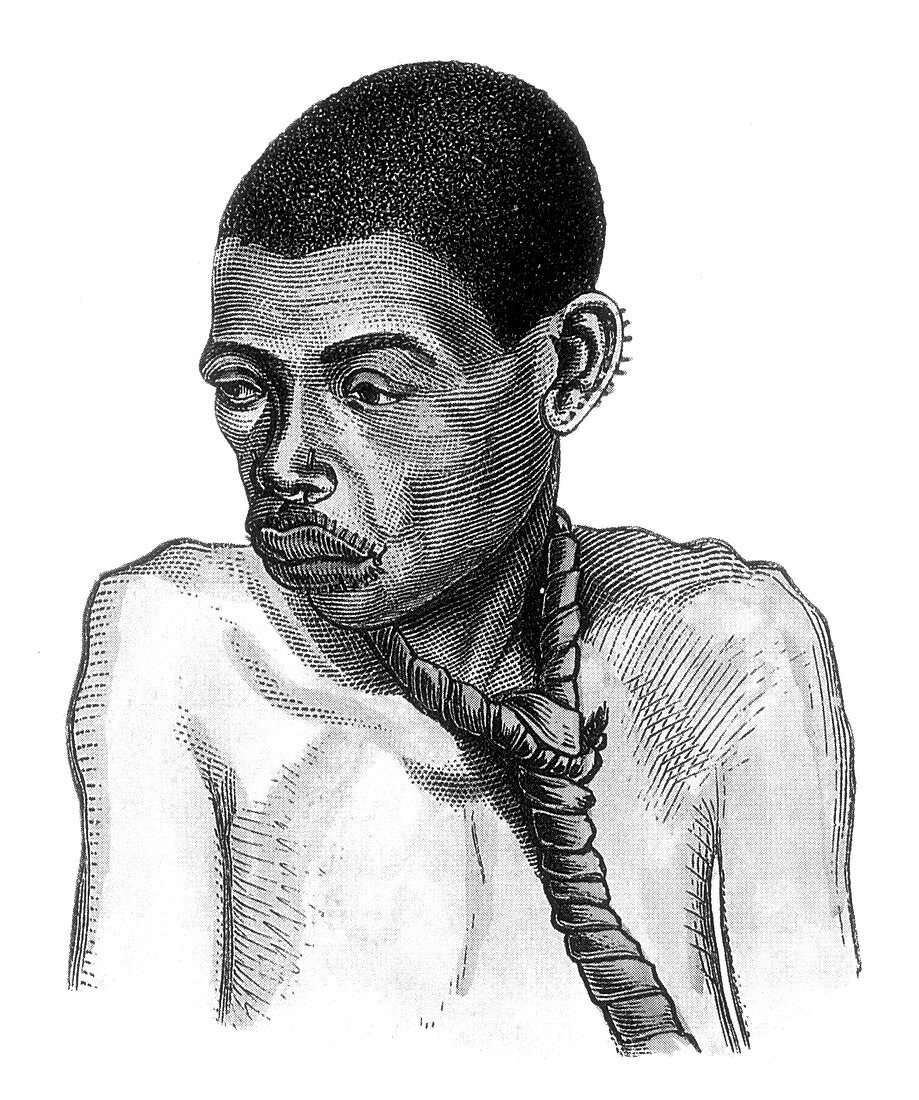 Slavery, African Slave