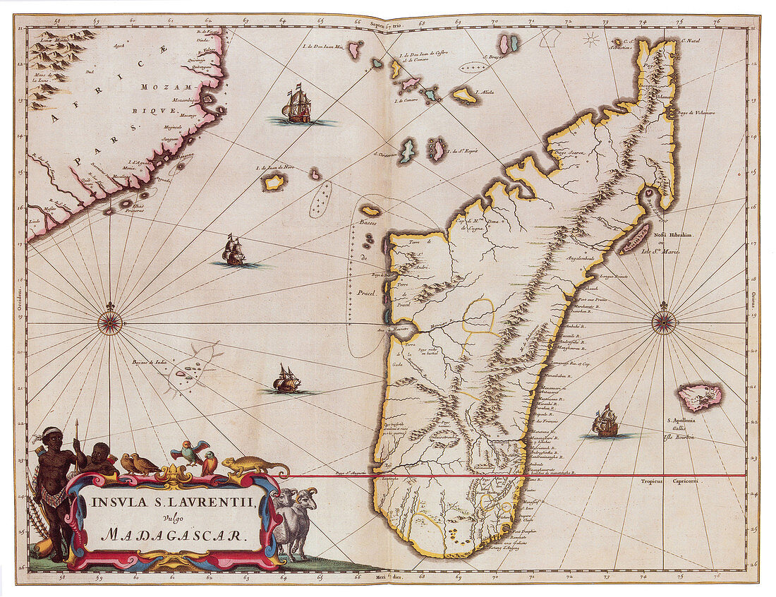Joan Blaeu, Madagascar Map, 17th Century