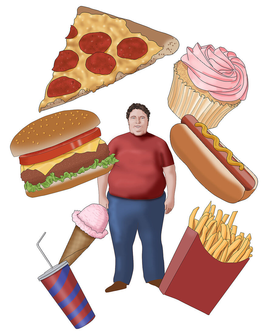 Obesity and Junk Food, Conceptual Illustration