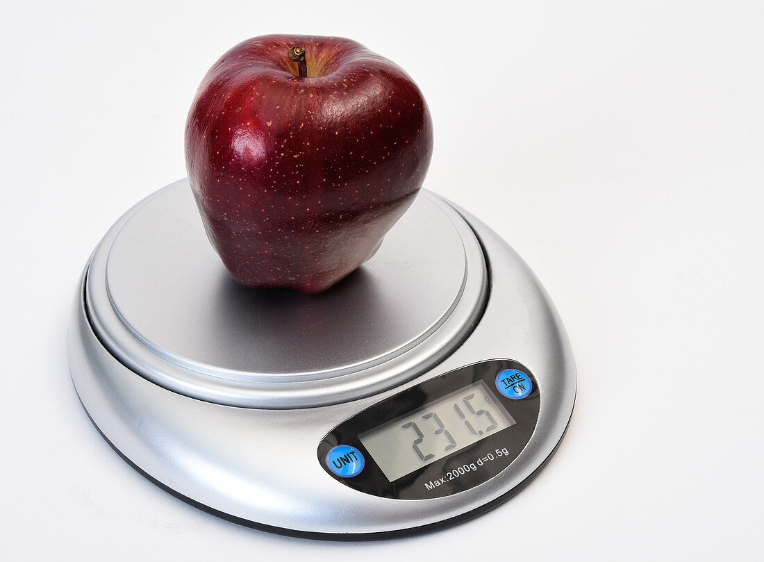 Apple Weight in Grams