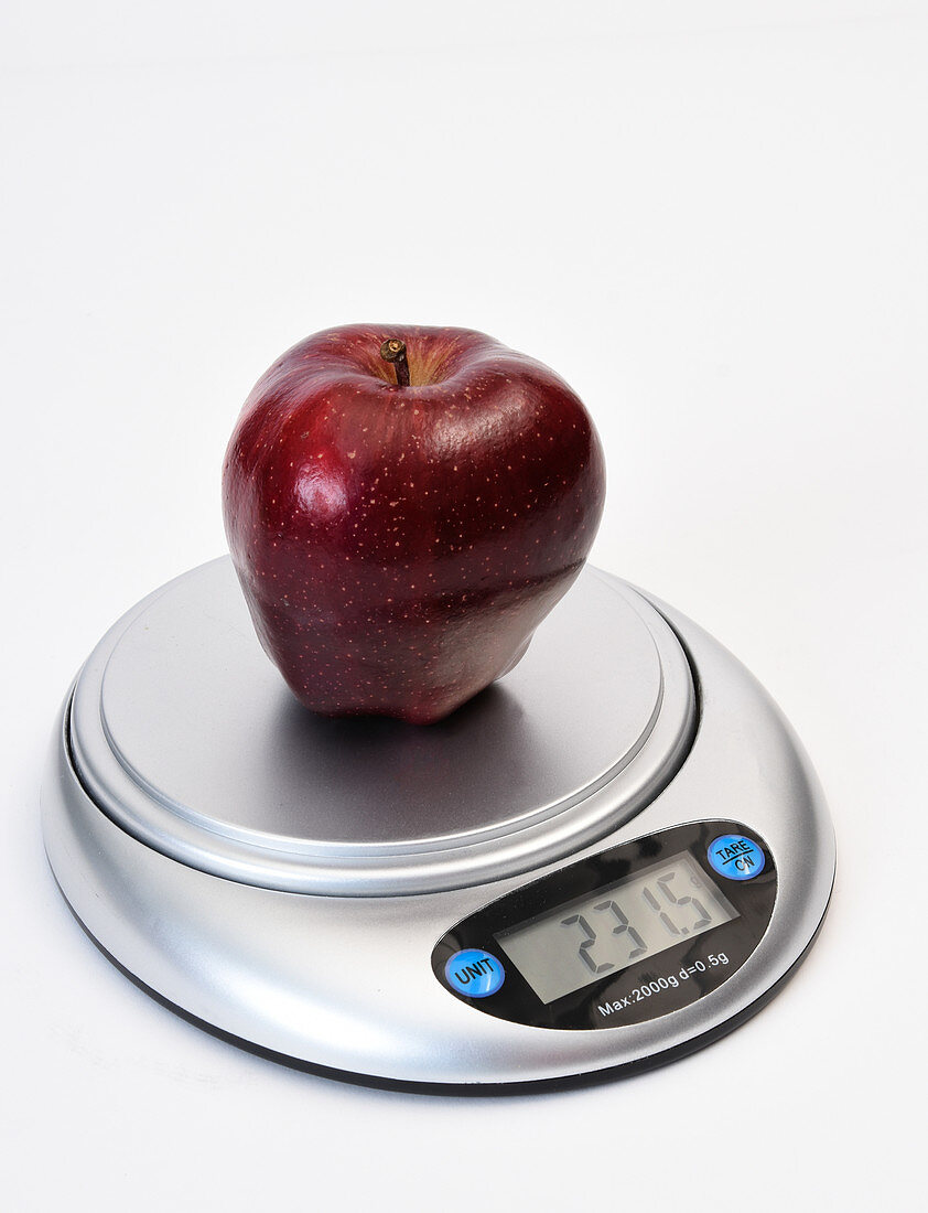 Apple Weight in Grams