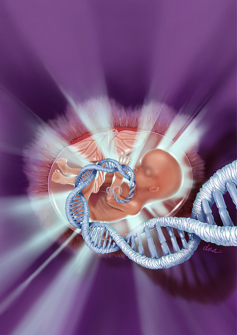 Foetal Genetic Testing