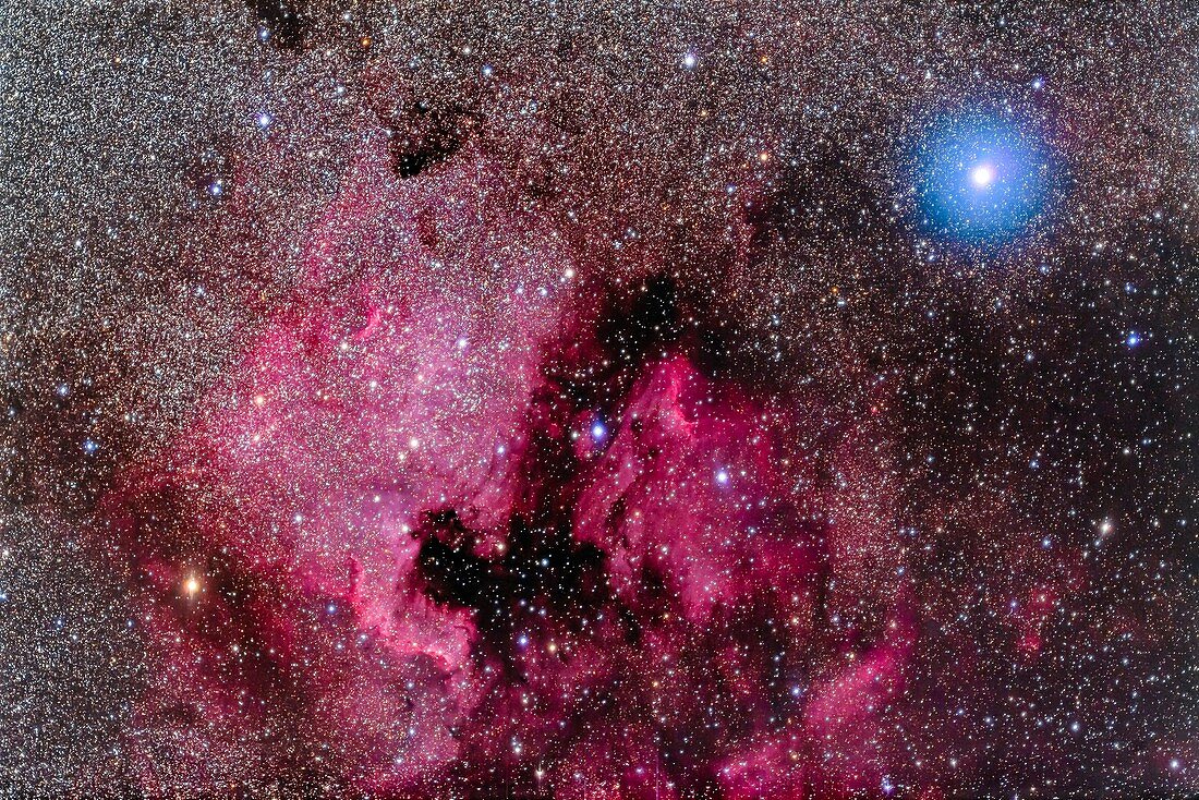 North America Nebula with Deneb