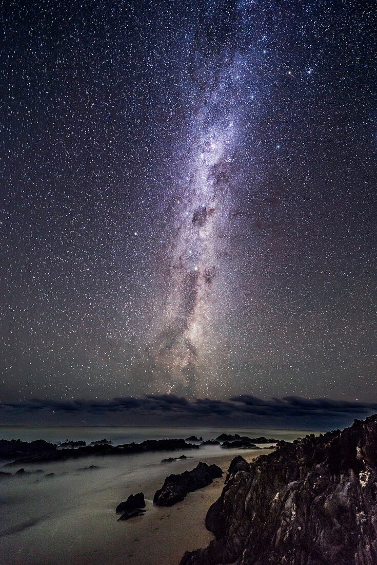 Dark Emu Rising over the Tasman Sea, Australia