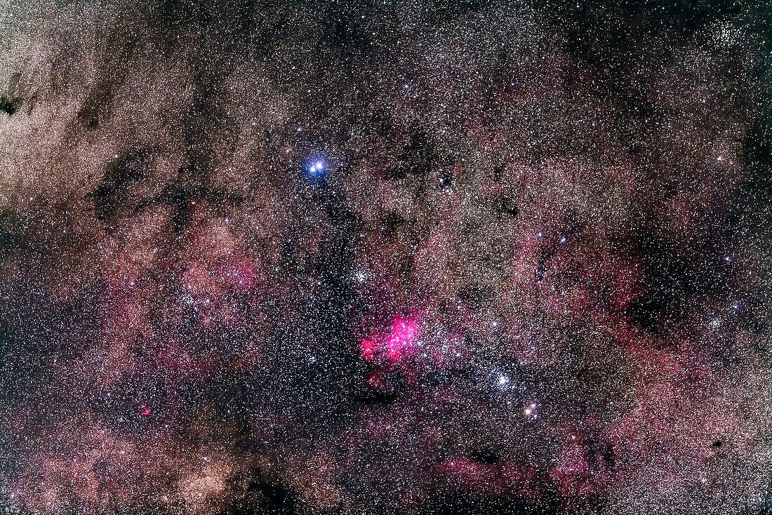 False Comet star clusters in Scorpius