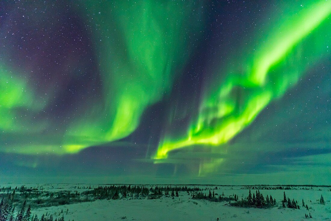 Parallel Curtains of Northern Lights