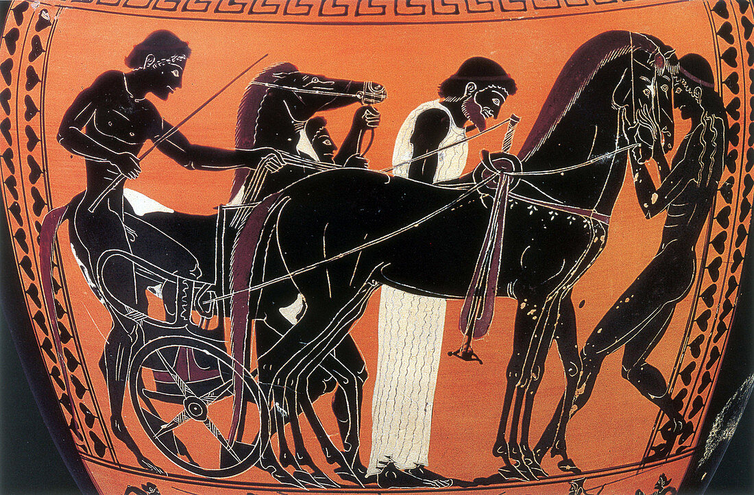 Olympic Games, Chariot Race, Black-Figure Pottery