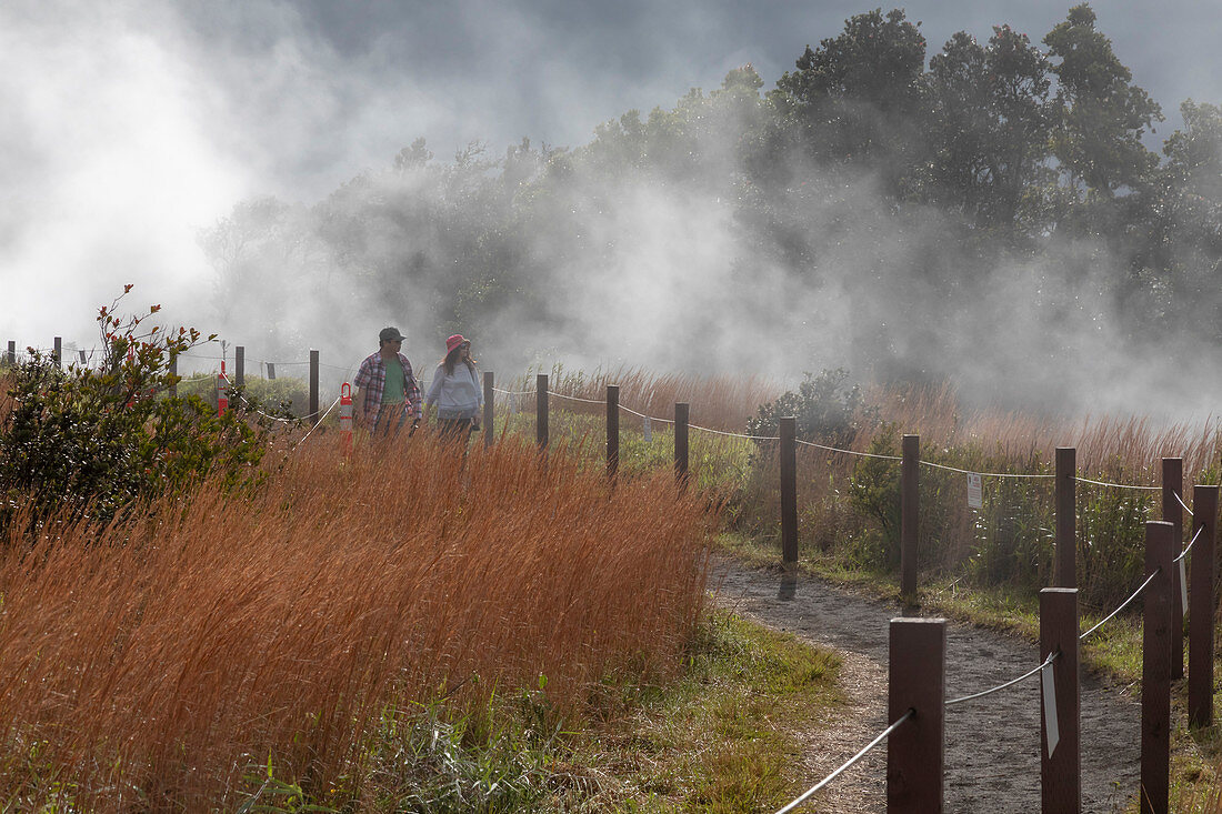 Hawaii Volcanoes National Park, USA