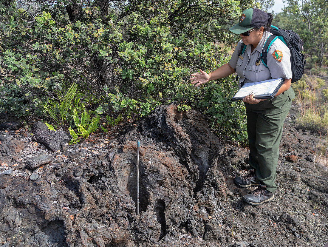 Invasive species prevention, Hawai'i Volcanoes National Park