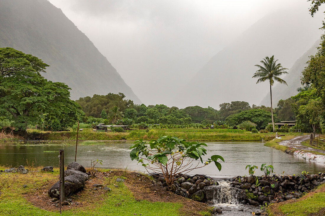 Waipi'o Valley, Hawaii, USA