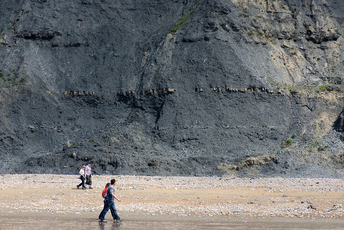 Charmouth Beach