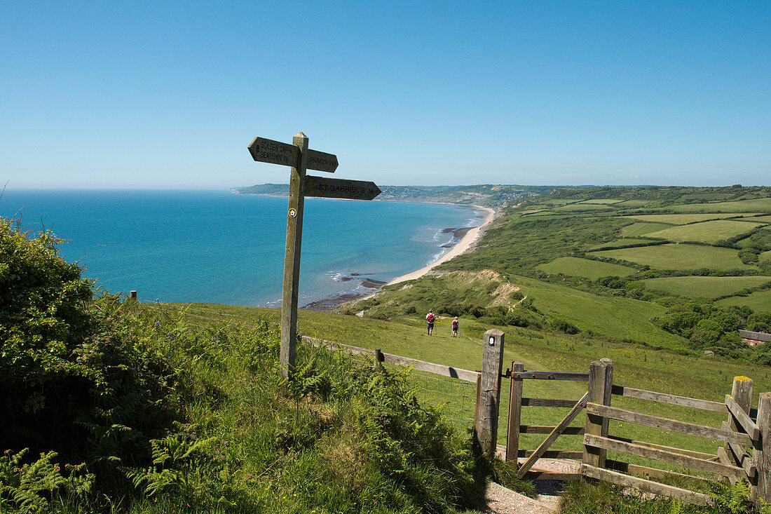 Golden Cap to Charmouth