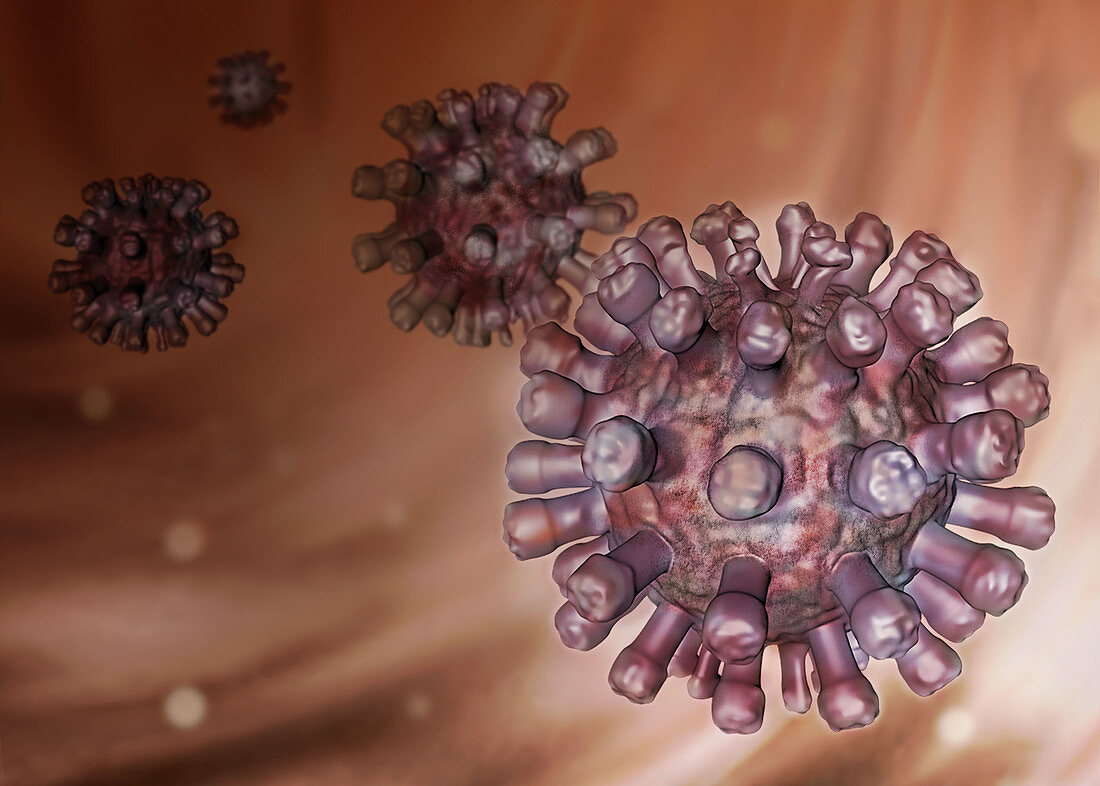 Rubella Virus, Illustration