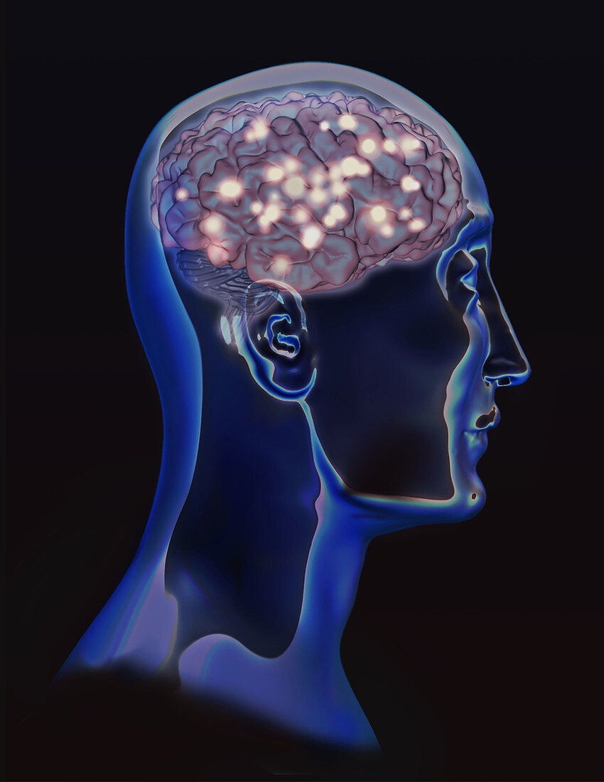 Brain Activity, Conceptual Illustration