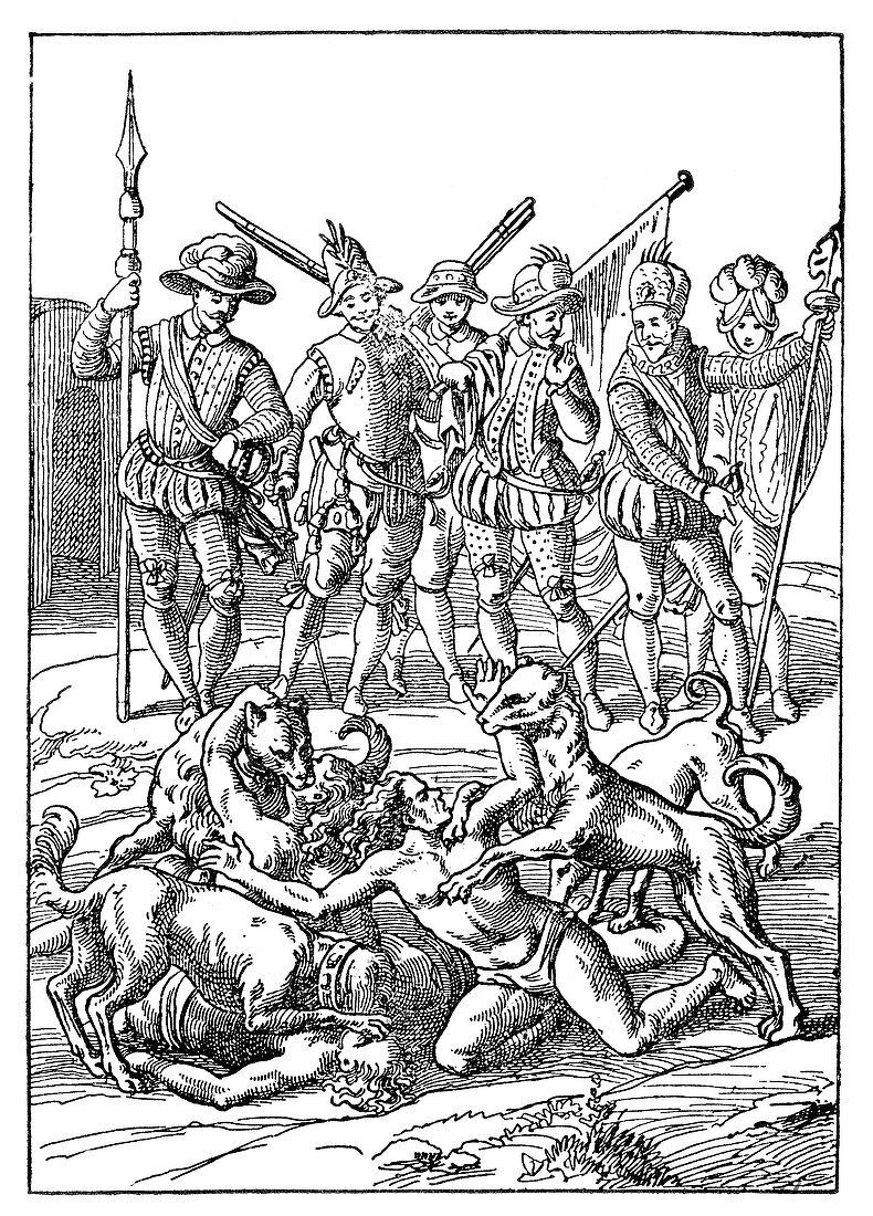 Spanish Persecution of Indians, 16th Century