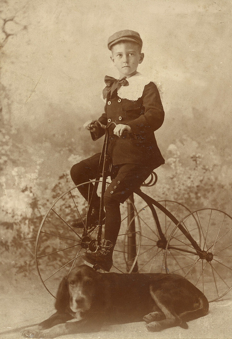 Boy Posing on Tricycle with Dog, 1890s