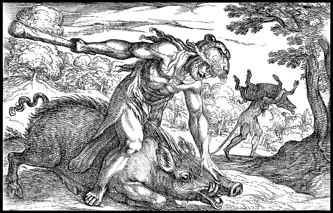 Labors of Hercules, Capture the Erymanthian Boar