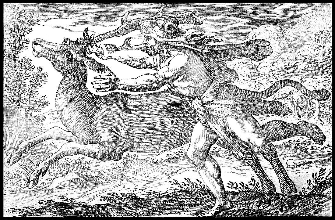 Labors of Hercules, Capture the Ceryneian Hind