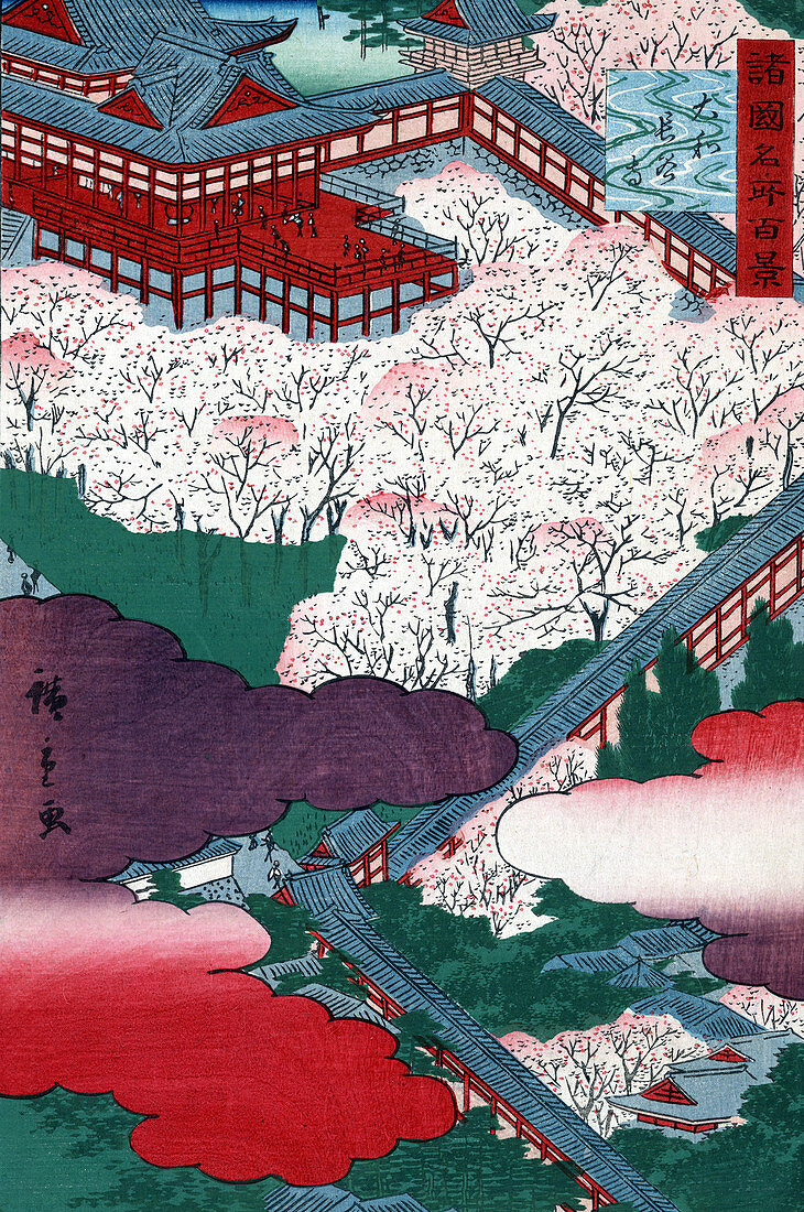 Hasedera Temple Cherry Blossoms, 1859