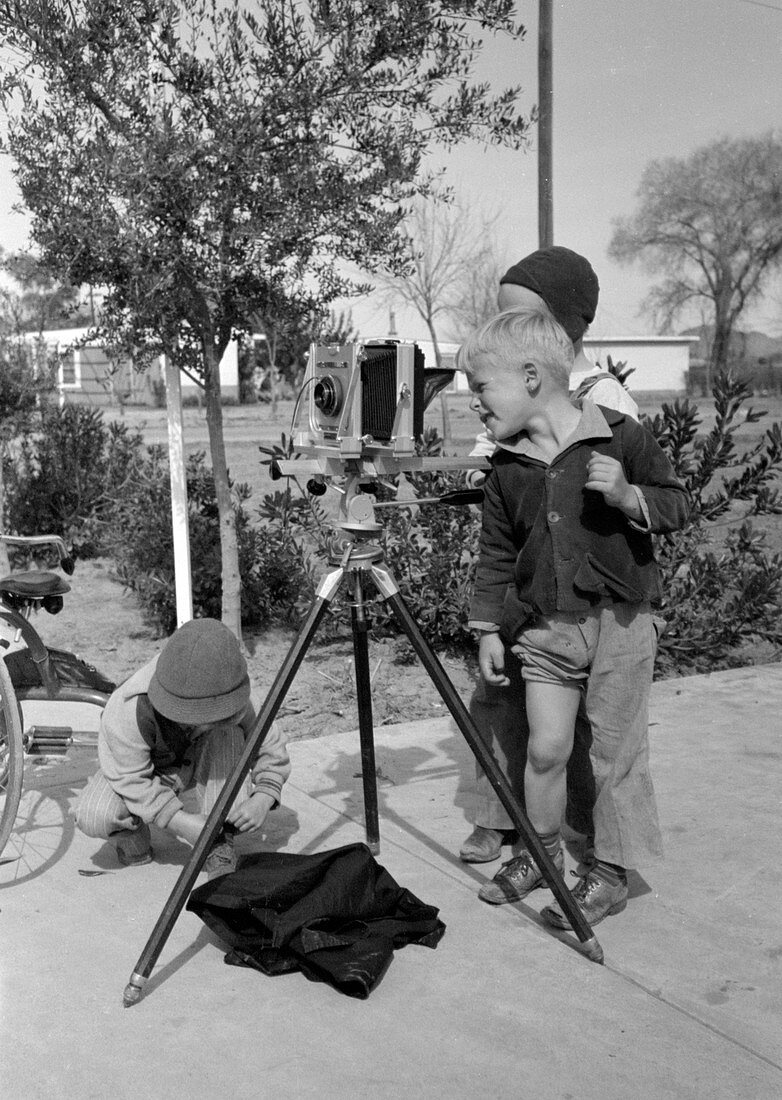 Amateur Photographers, 1942