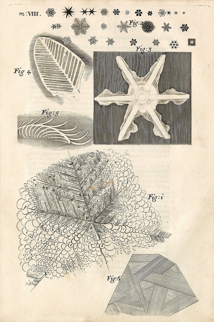 Ice crystals in Hooke's Micrographia (1665)