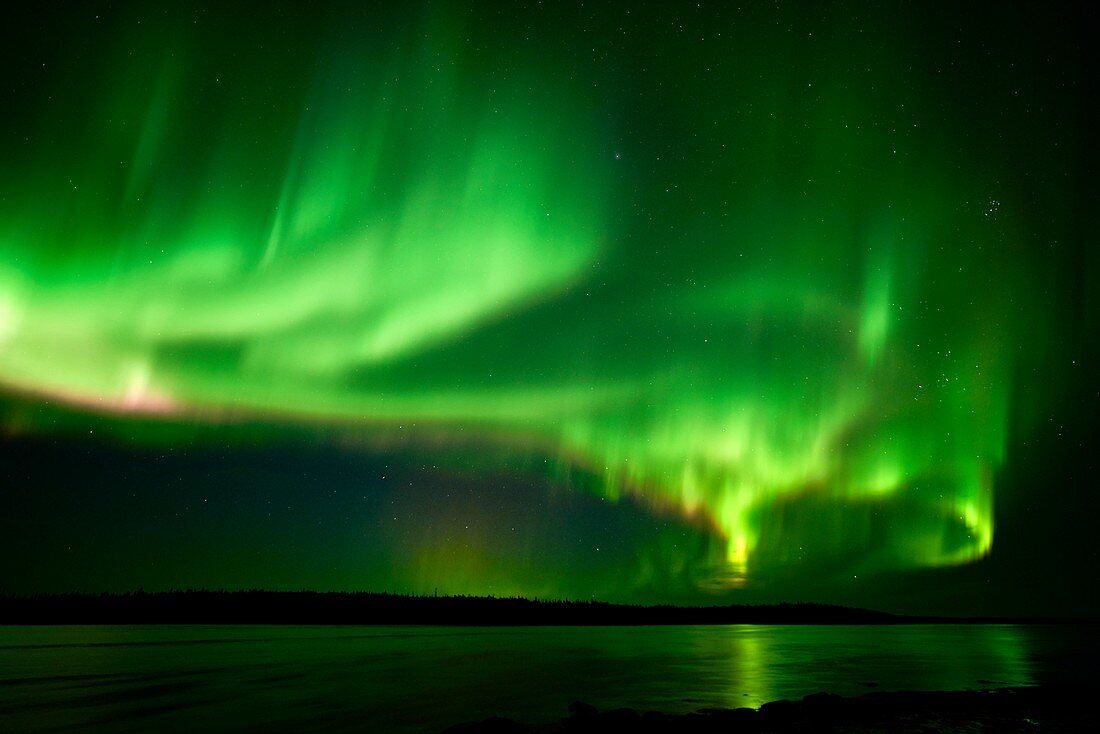 Aurora borealis, Russian Arctic