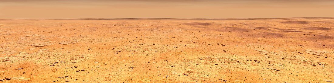 InSight landing area on Mars, illustration