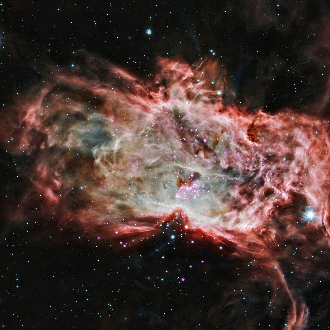 Flame Nebula, composite image
