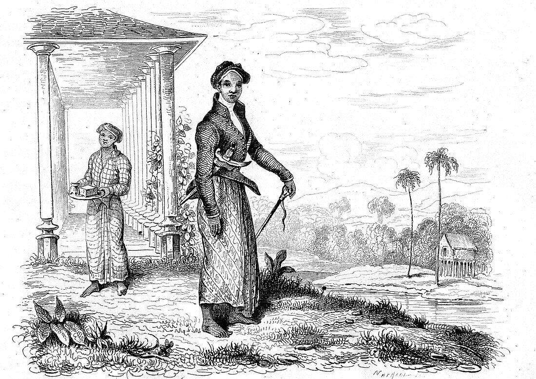 19th Century Java tribal Chief, illustration
