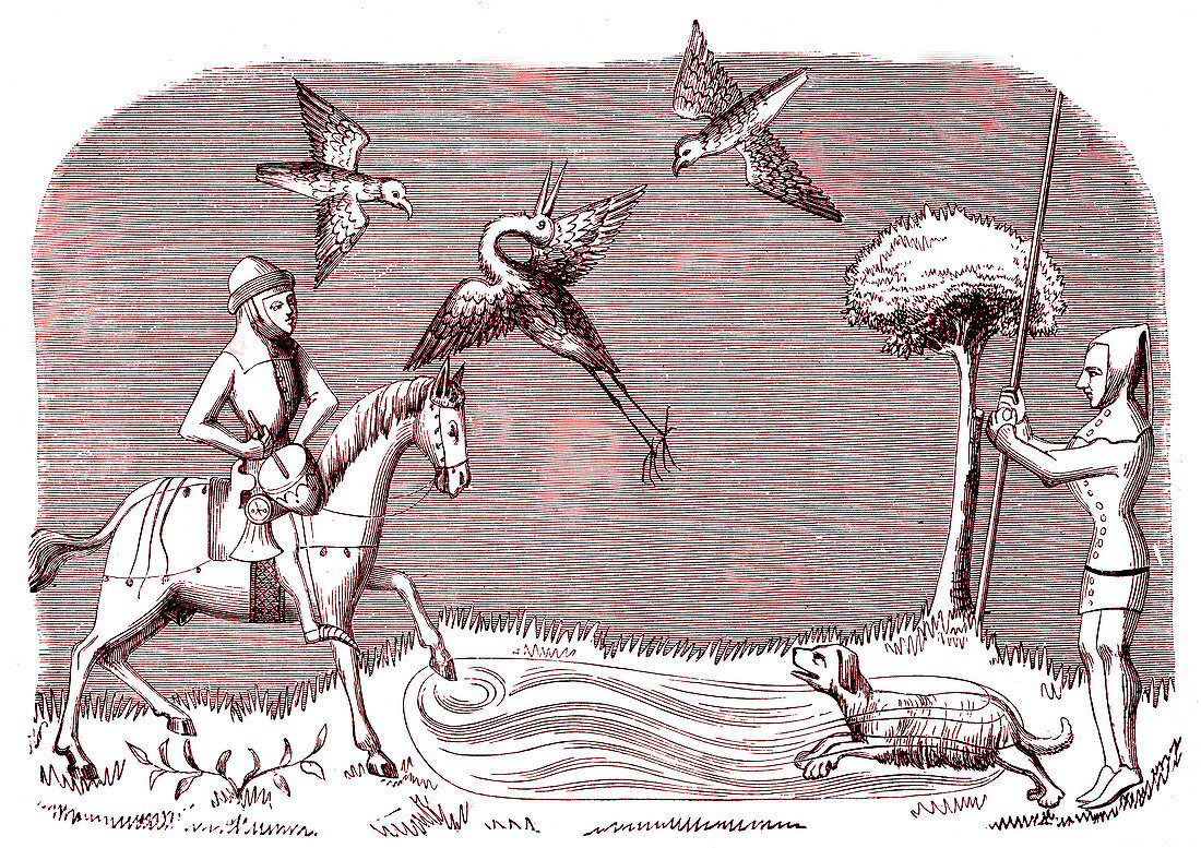 14th Century heron hunters, 19th Century illustration