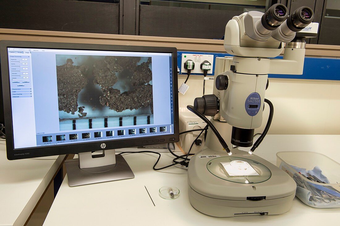 Microscopic forensic analysis of a soil sample