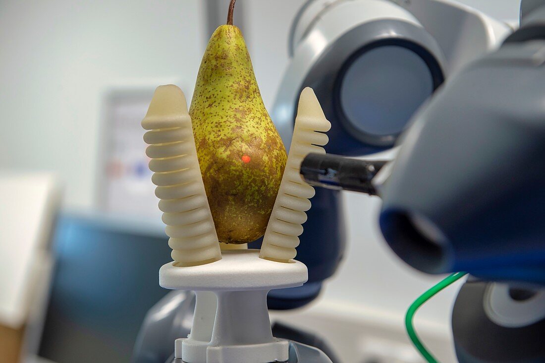 Prototype robot for automated quality control of fruit