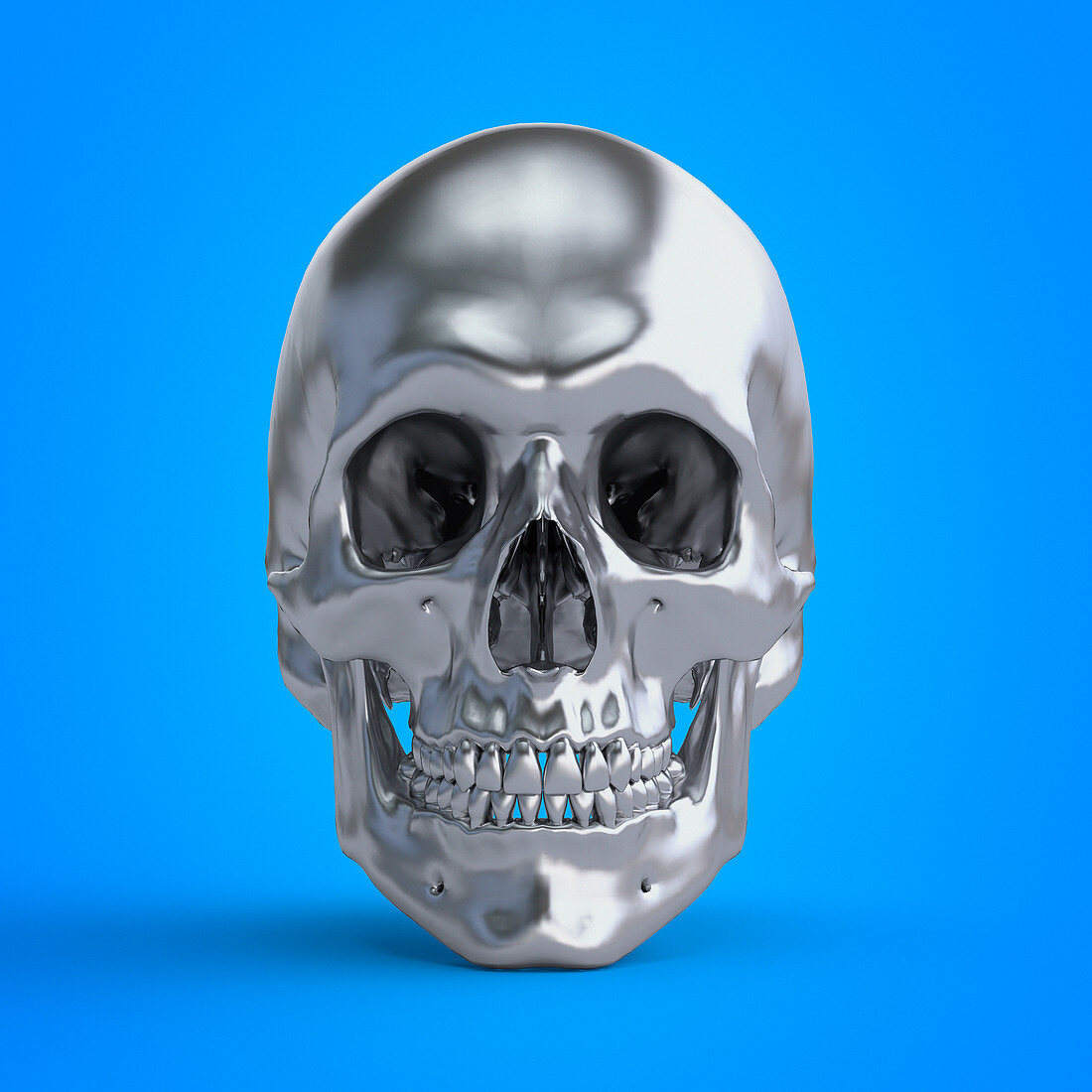 Illustration of a skull