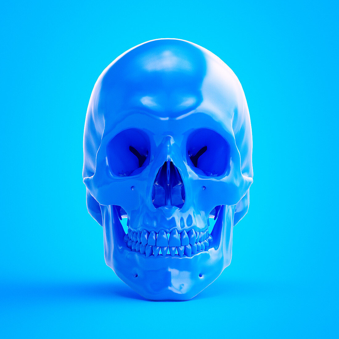 Illustration of a blue skull