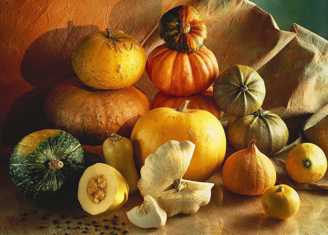 Still Life of Several Assorted Squash and Pumpkins