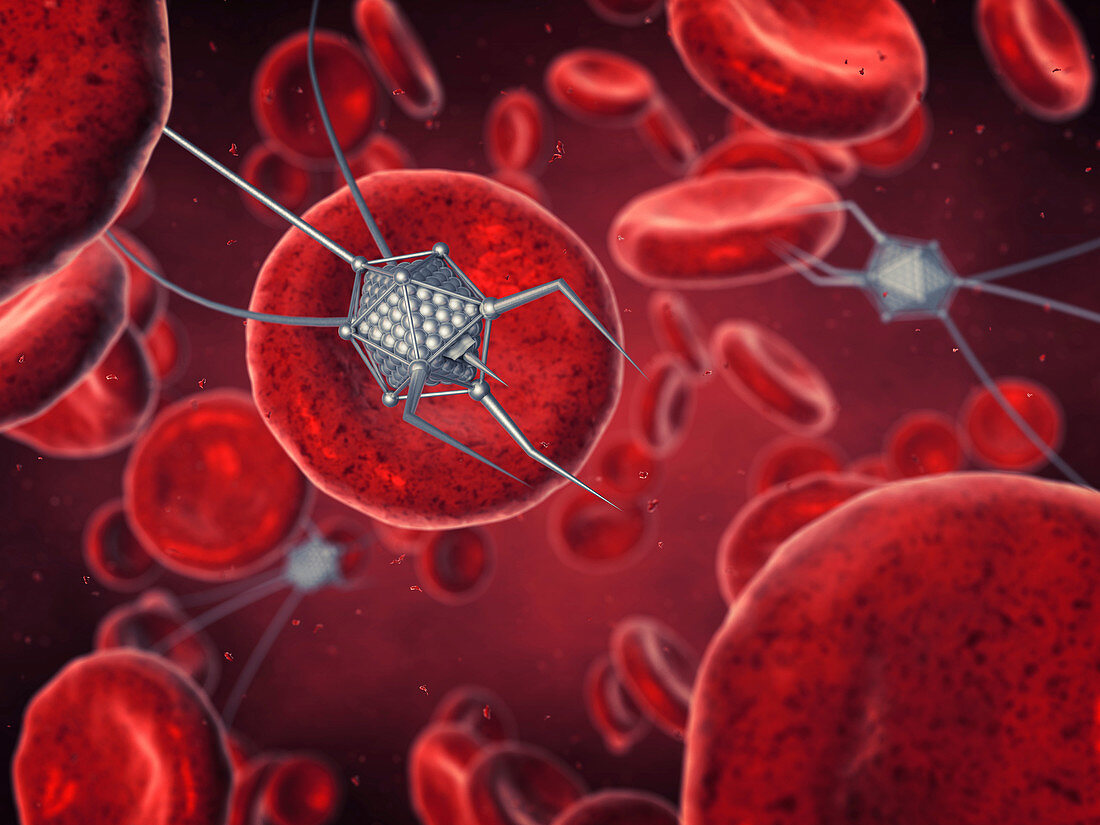 Nanorobots in blood stream, illustration