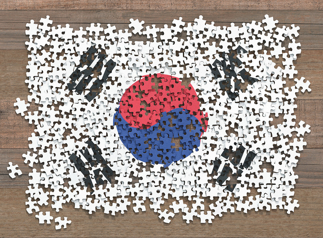 South Korean flag jigsaw puzzle, illustration