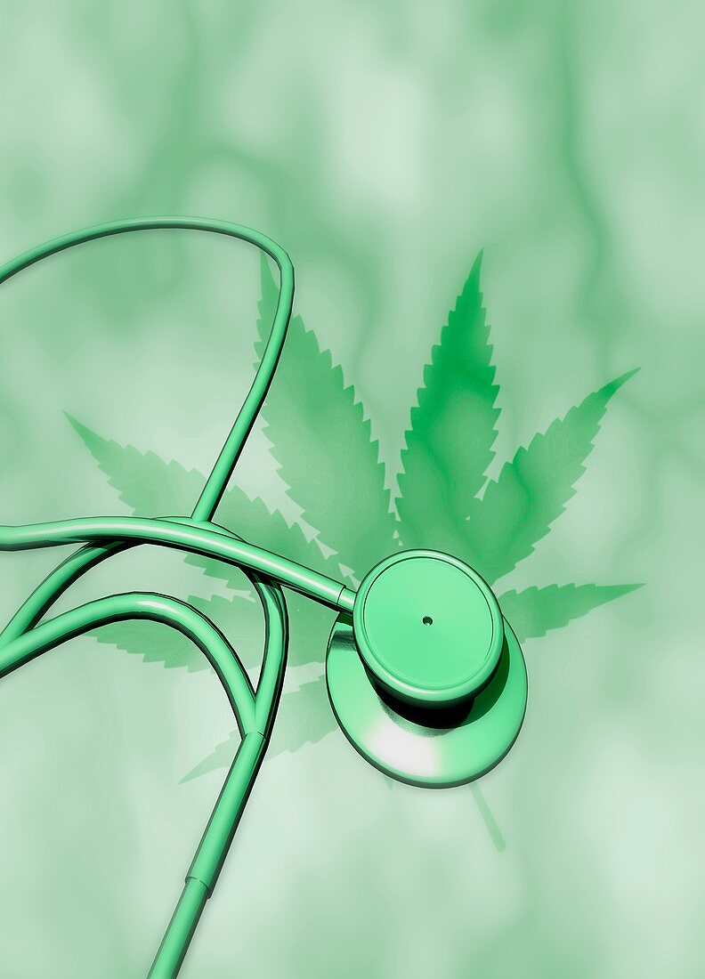 Medical cannabis, conceptual illustration