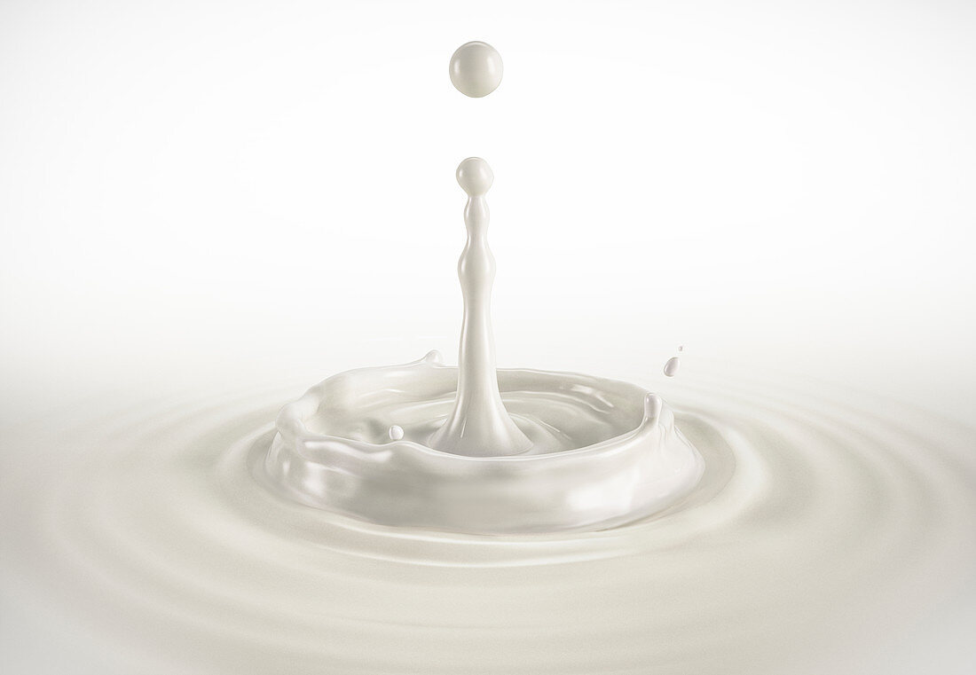 One single milk drop splashing with ripples, illustration