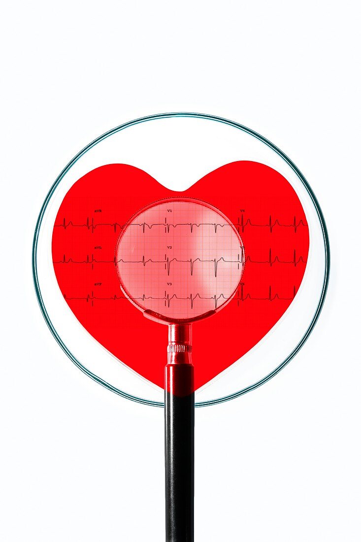 Heart research, conceptual image