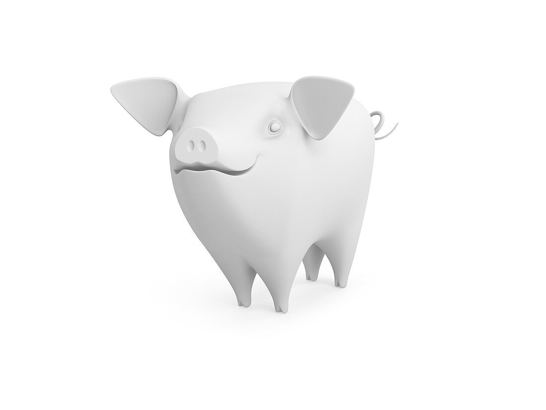 Pig, illustration