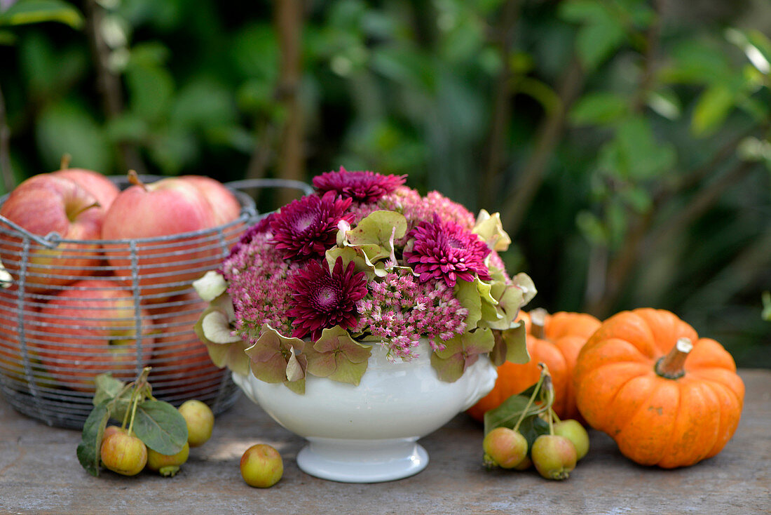 Flower arrangement of hydrangea, sedum and chrysanthemums surrounded by apples and pumpkins