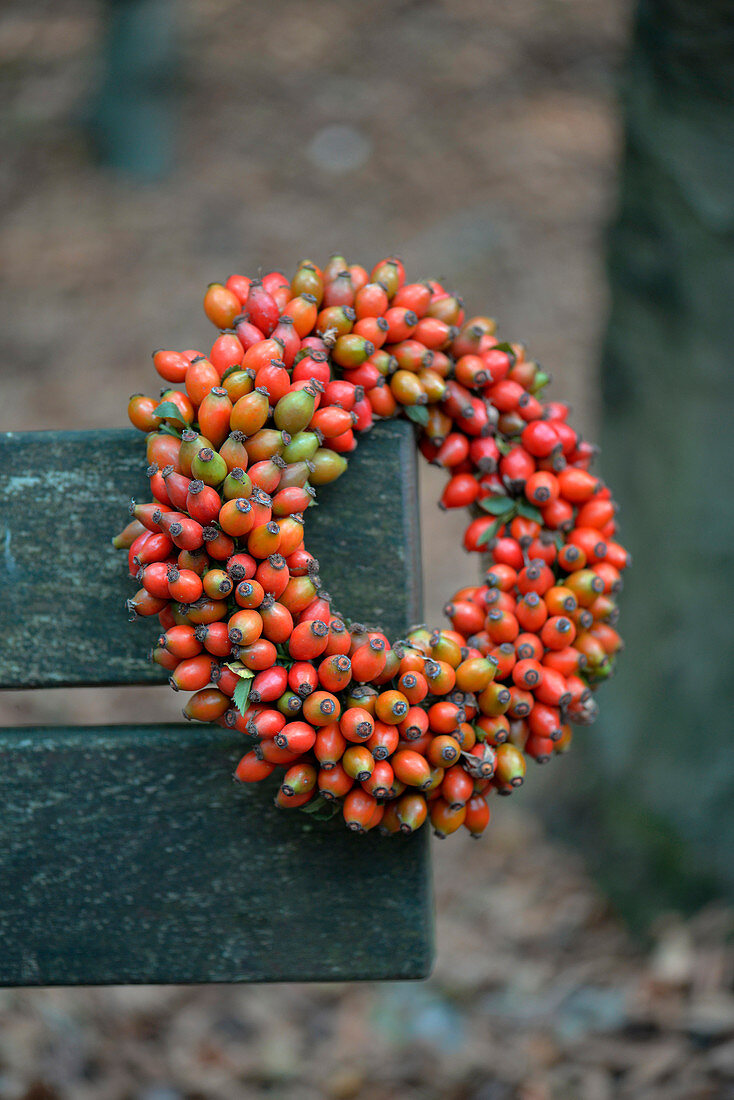 Autumn wreath with rose hips on a straw wreath